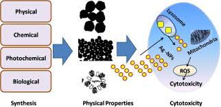 Nano Particles ply vital role in Toxicology