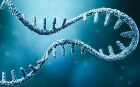 Computational Analysis of RNA sequencing dataset reveals novel associations in response to artemisinin-resistant malaria: Implications in drug discovery and design