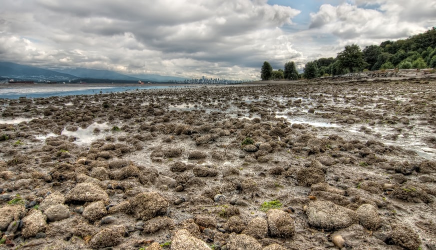 Antibacterial, Anti-inflammatory, and Antioxidant properties of Actinobacteria originated from Marine Sediment