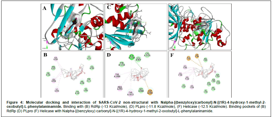 Applied-Bioinformatics-Binding-pockets