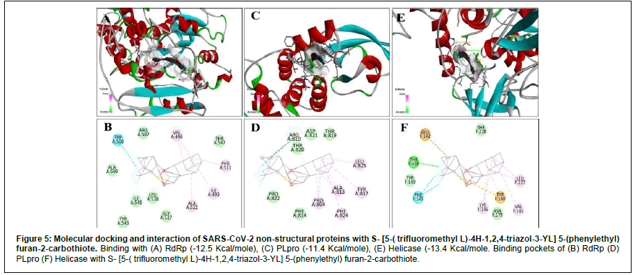 Applied-Bioinformatics-non-structural