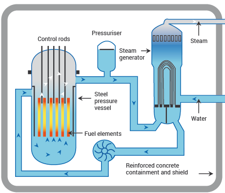 Light Water Reactor